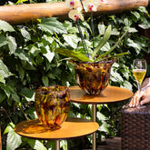 Kit de Vasos em Cristal Murano Camponesa e Jelly Onça