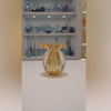 Vaso De Decoração Em Murano Trouxinha Little Pack Ambar